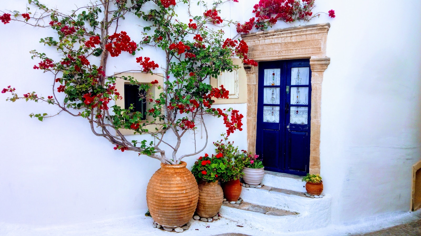 Photo by Yannis Cotsonis red and green plant on brown clay pot